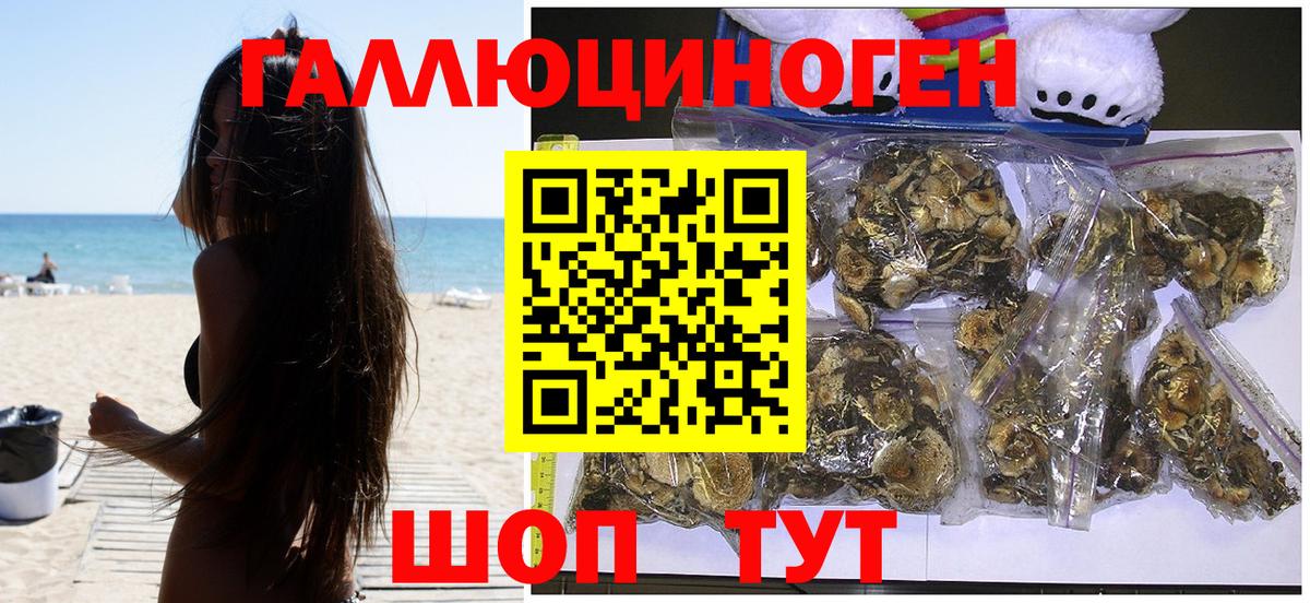 где купить наркоту  Псилоцибиновые грибы MAGIC MUSHROOMS  Вход с VPN  Протвино 